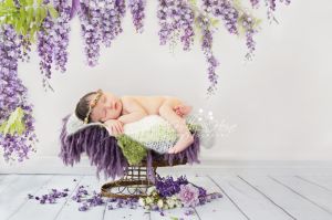 Newborn Photographer-16.jpg